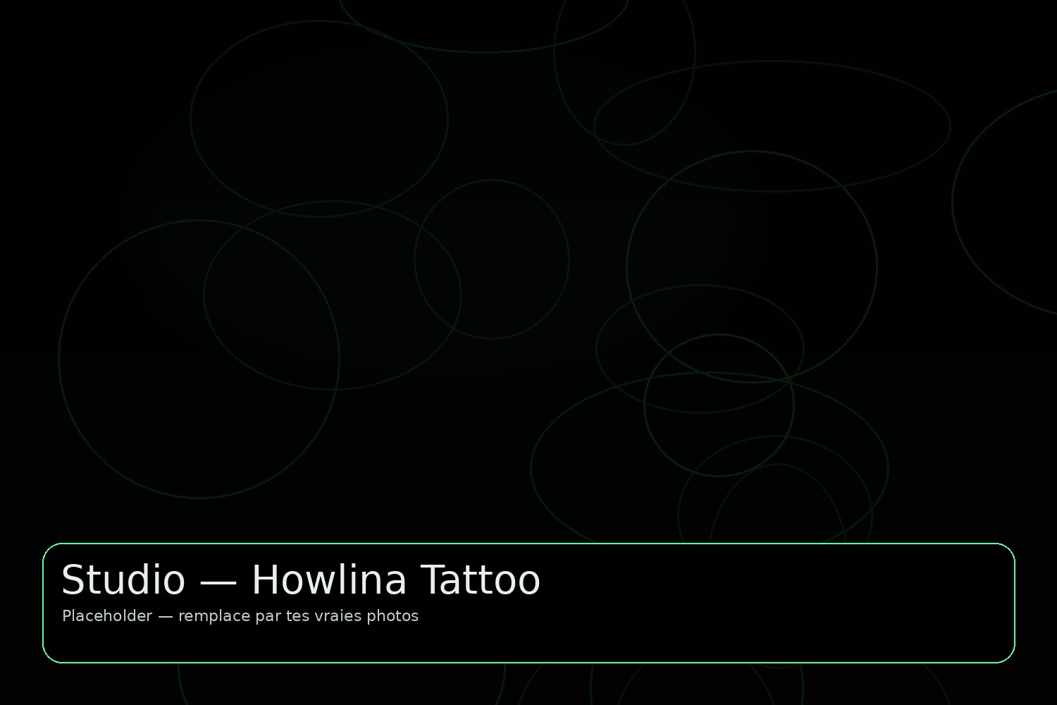 Shop Howlina Tattoo à Schweighouse-sur-Moder